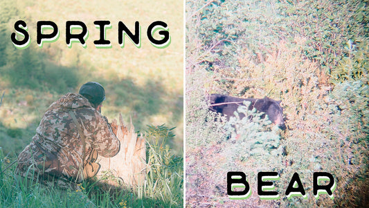 Oregon Spring Bear - Heartbreak AND?!