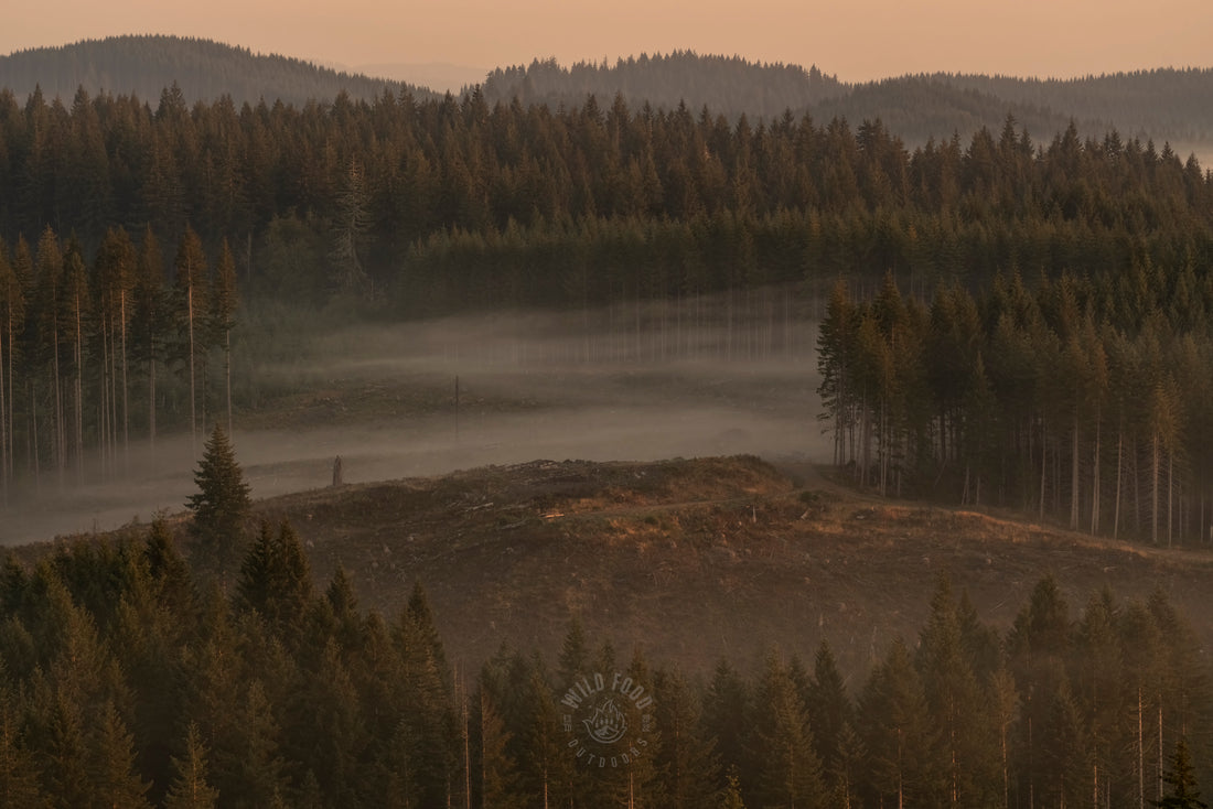 A Picture Is Worth A Thousand Words