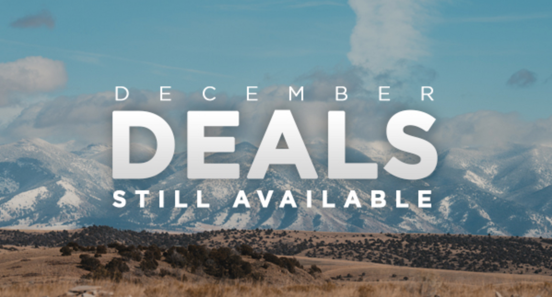 Sig Sauer December Deals Still Available!