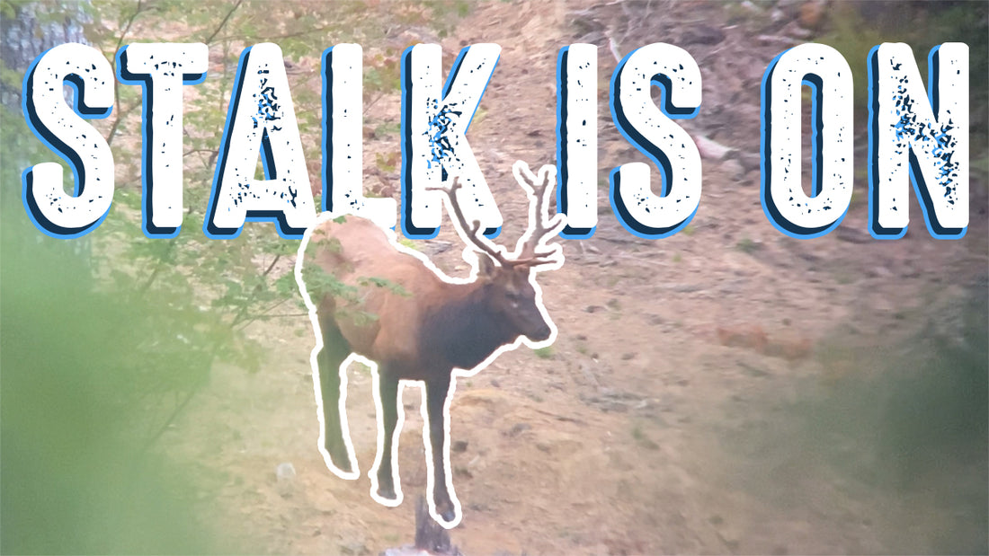 Chasing Roosevelts Part 2 - Becoming a Hunter Ep 13