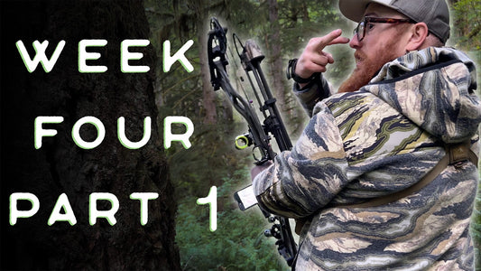 Members Only: WEEK 4 Part One!