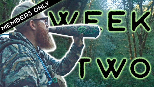 MEMBERS ONLY - Week Two: Four Weeks In September