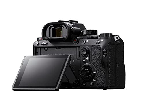 Sony Alpha 7R III Mirrorless Camera