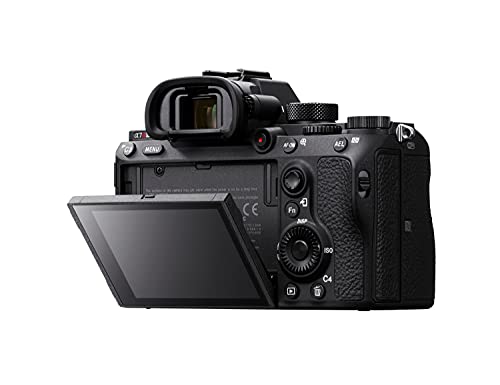 Sony Alpha 7R III Mirrorless Camera