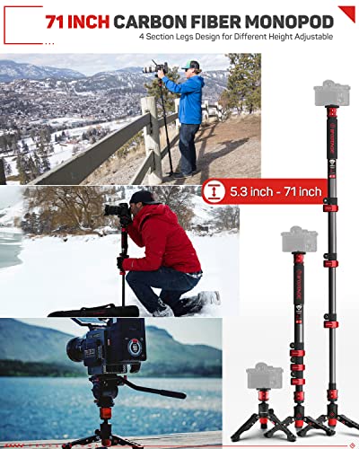 IFOOTAGE 71" Cobra 2 Carbon Fiber Monopod