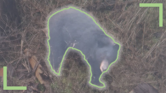 Redemption - An Oregon Spring Bear Hunt - Part 1