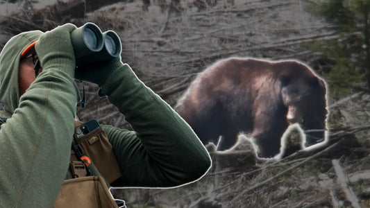 Biggest Bear I've Ever Seen! Redemption Part 2