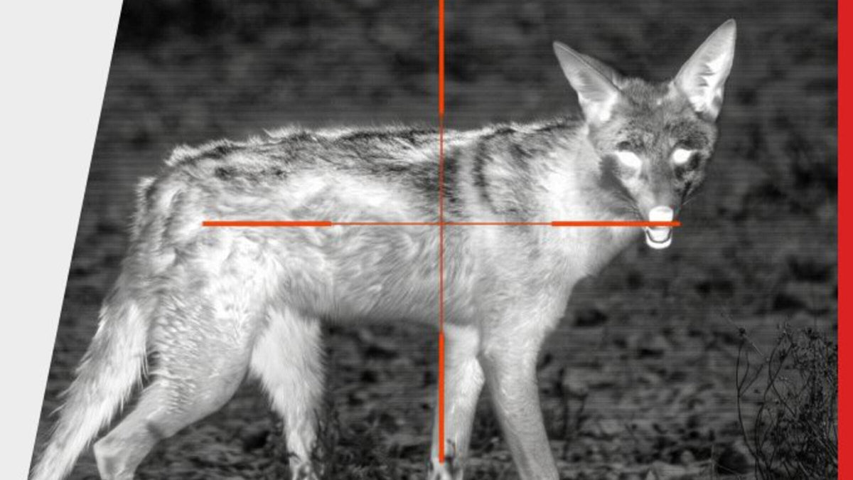 Thermal view of a coyote through the ThOR 6 Mini reticle