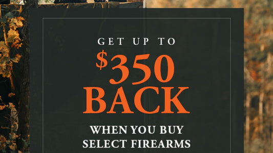 Up to $350 Rebate