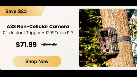 GardePro A3S Non-Cellular Trail Camera