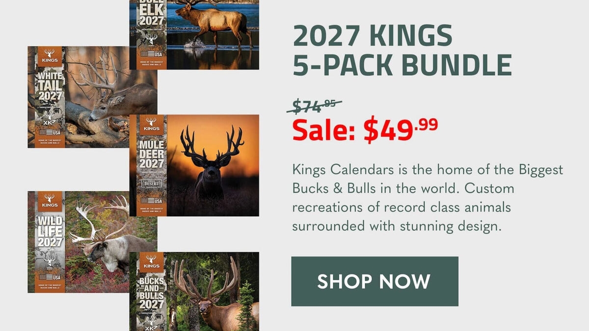 Kings 5-pack Calendar Bundle