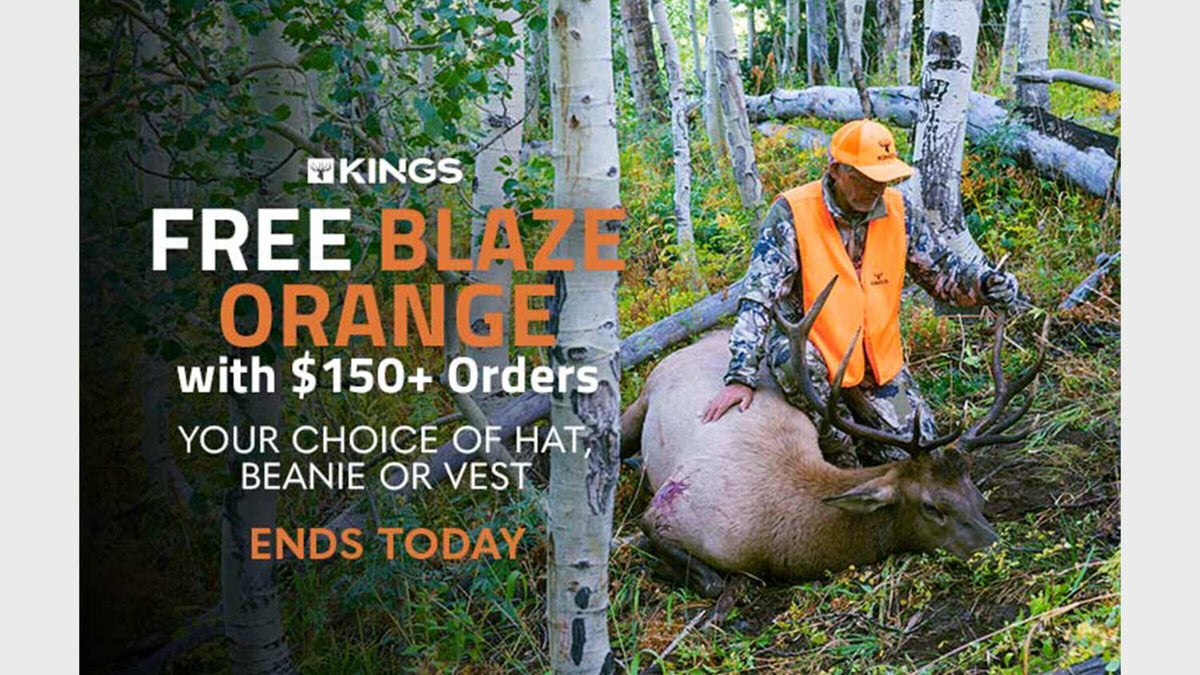 Kings Special offers