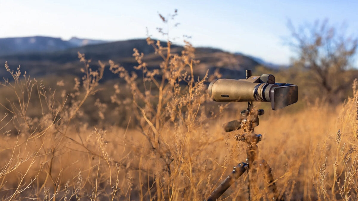 Maven optic on tripod with digiscoping kit