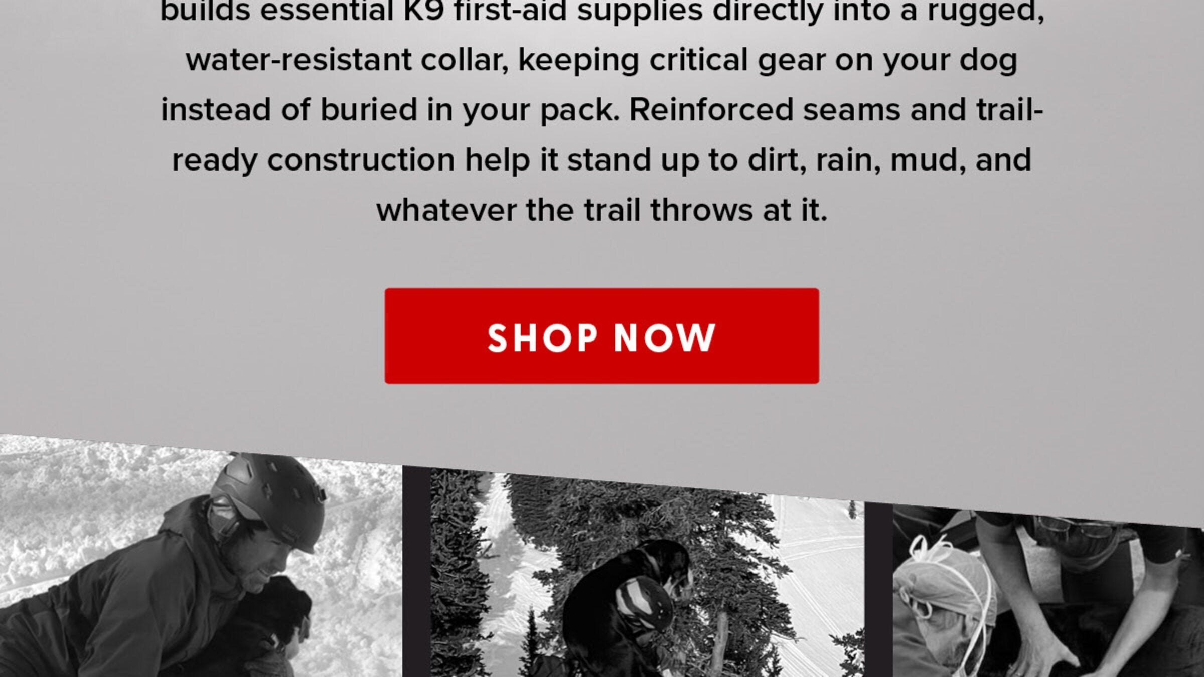 National Dog Day Sale - 35% Off the Wolf Pack