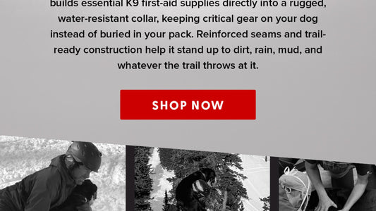 National Dog Day Sale - 35% Off the Wolf Pack