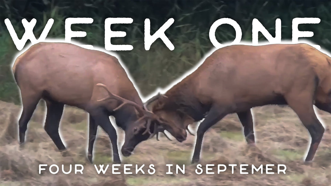 2024 Archery Elk Series Launches Now!