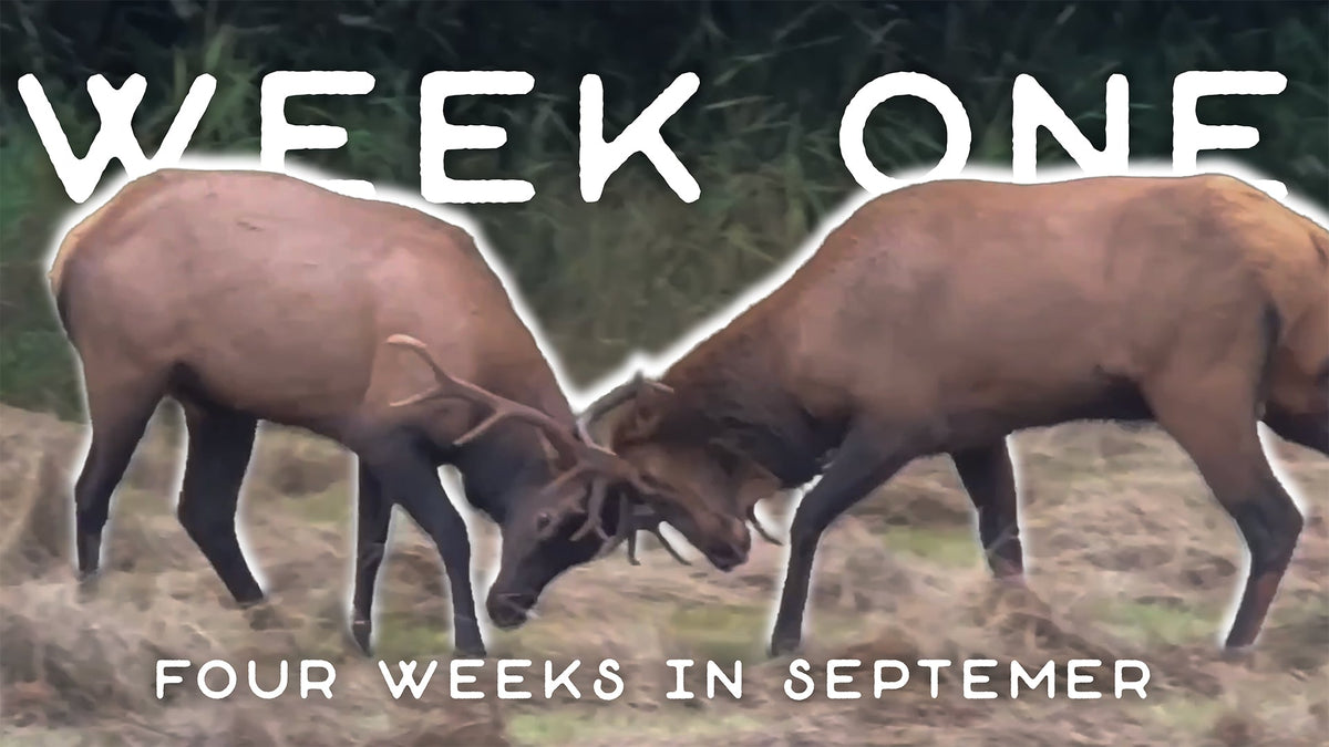 2024 Archery Elk Series Launches Now!