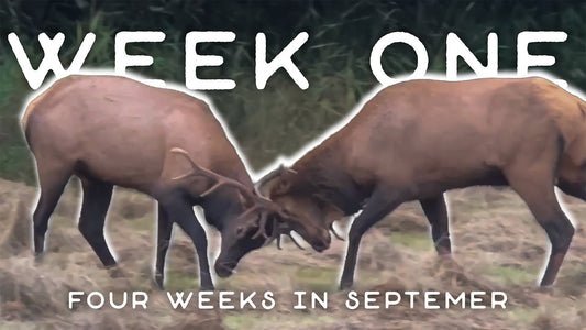 Members Only - WEEK ONE: Four Weeks In September