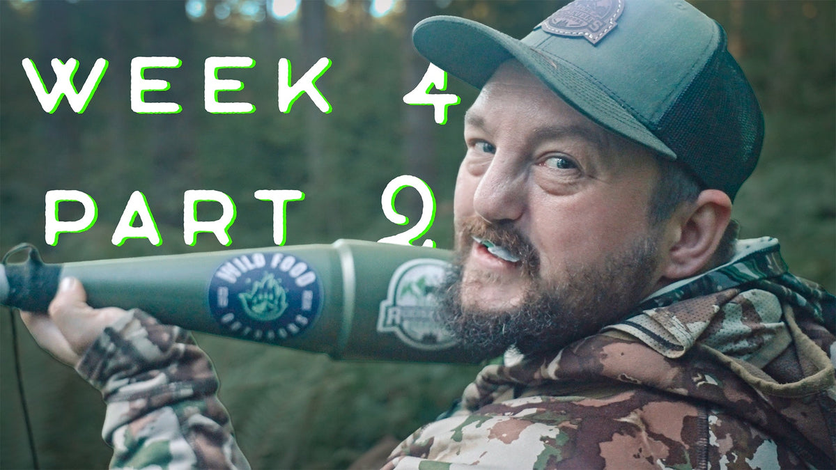 WEEK FOUR PART TWO