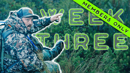 MEMBERS ONLY - WEEK THREE: Four Weeks In September