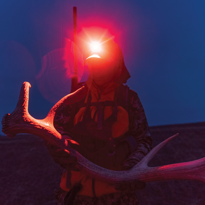 Backcountry Duo Headlamp